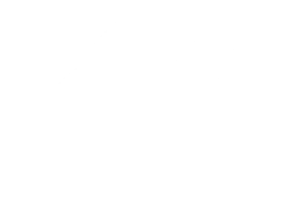 Talent Wave Studios Logo